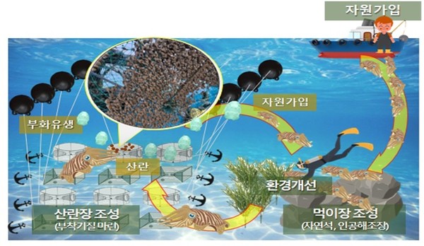 군산시는 해양수산부가 주관하는 2024년 수산자원 산란·서식장 조성사업에 최종 선정돼 향후 5년 동안(2024~2028년) 옥도면 해역에 조성한다고 밝혔다.